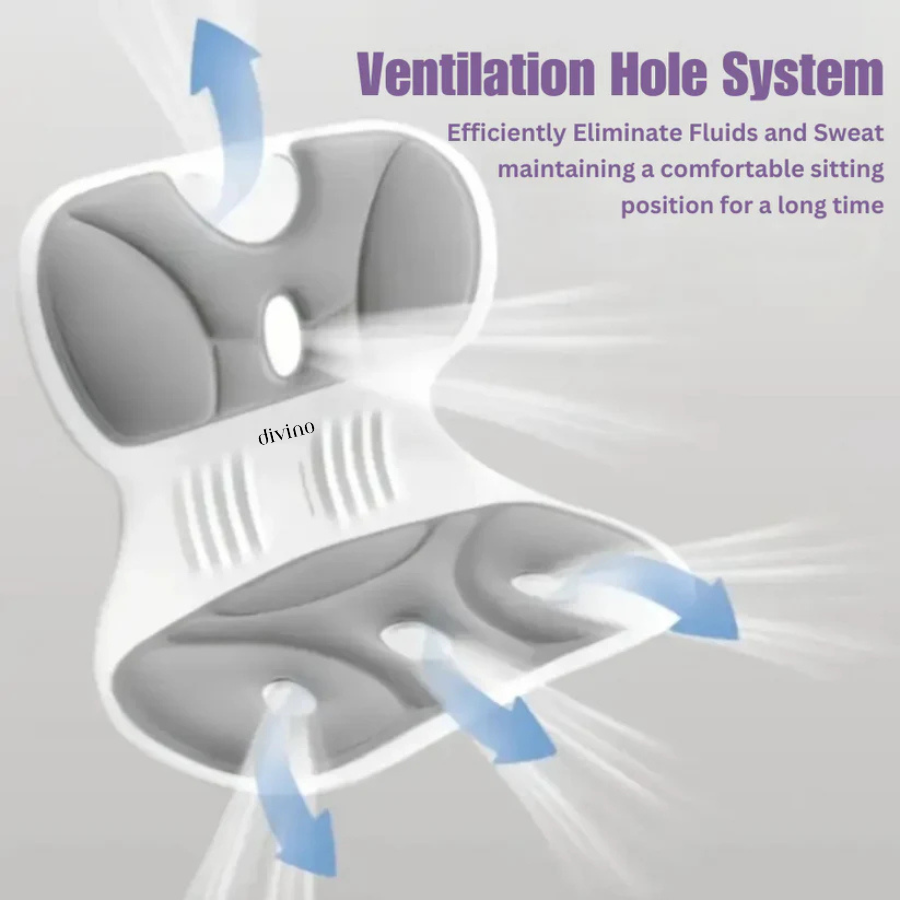 Divino Orthopedic Lumbar Cushion